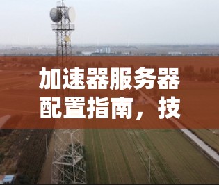 加速器服务器配置指南，技术实现与实践