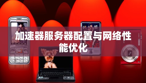 加速器服务器配置与网络性能优化