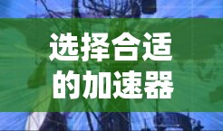 选择合适的加速器服务器对于提升内容分发的效率和用户体验至关重要。以下是基于您的需求和思考过程的总结，旨在帮助您做出明智的选择