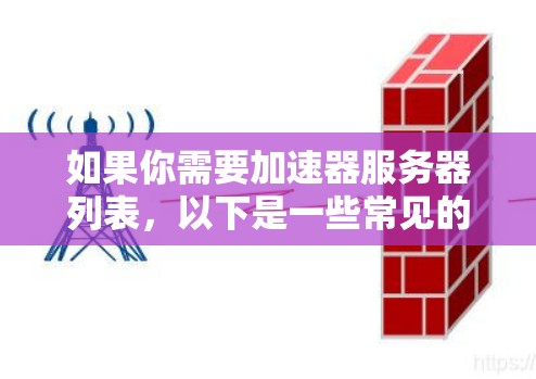 如果你需要加速器服务器列表，以下是一些常见的加速器类型及其提供商和示例产品