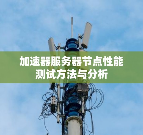 加速器服务器节点性能测试方法与分析