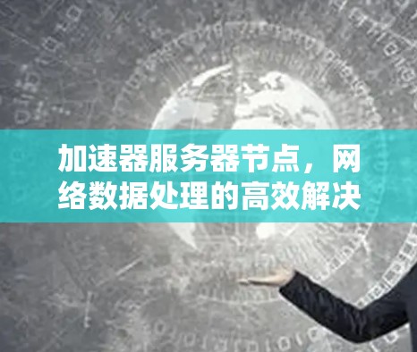 加速器服务器节点，网络数据处理的高效解决方案