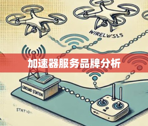加速器服务品牌分析