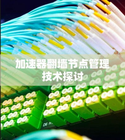 加速器翻墙节点管理技术探讨