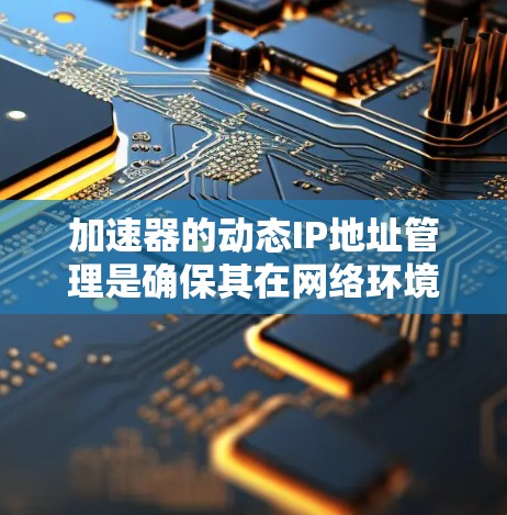 加速器的动态IP地址管理是确保其在网络环境中高效运行的关键步骤。以下是对这一过程的详细总结