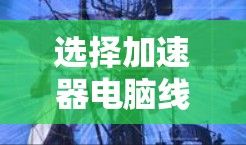 选择加速器电脑线路时,需要综合考虑性能、价格、兼容性和软件支持。以下是一个根据需求分类的配置建议