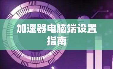 加速器电脑端设置指南