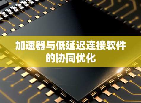 加速器与低延迟连接软件的协同优化