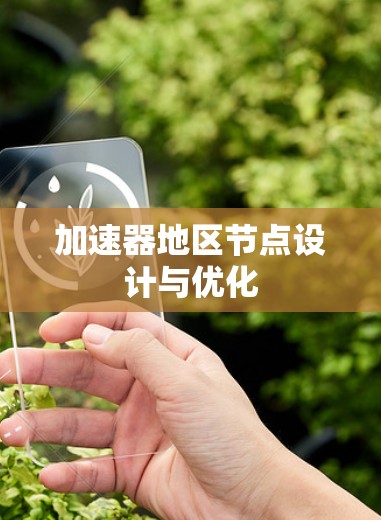 加速器地区节点设计与优化 加速器地区节点设计与优化