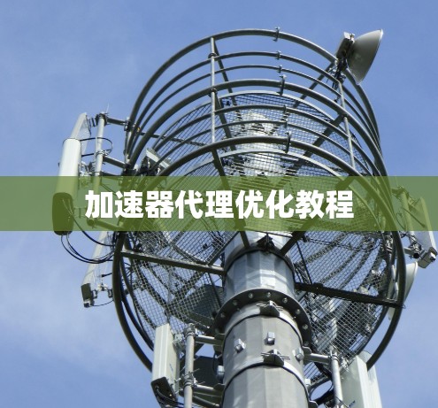 加速器代理优化教程