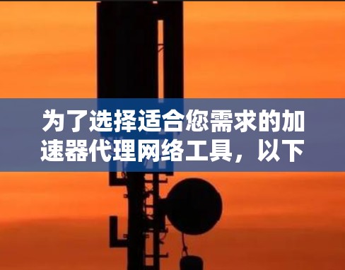 为了选择适合您需求的加速器代理网络工具,以下是根据您的项目类型和需求的建议