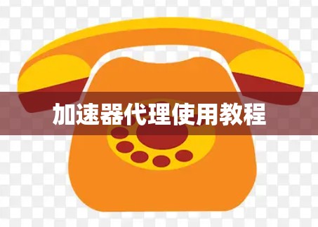 加速器代理使用教程