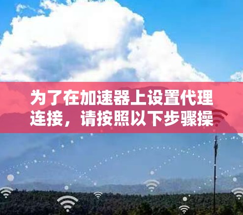 为了在加速器上设置代理连接,请按照以下步骤操作 为了在加速器上设置代理连接,请按照以下步骤操作