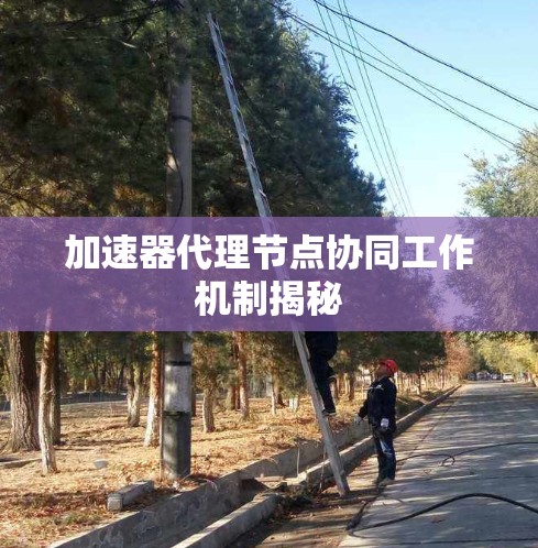加速器代理节点协同工作机制揭秘