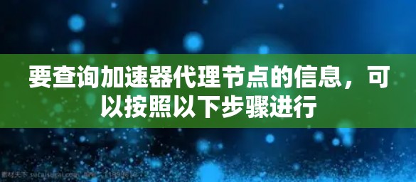 要查询加速器代理节点的信息，可以按照以下步骤进行