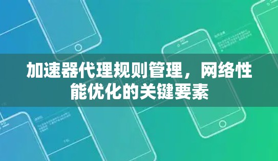 加速器代理规则管理，网络性能优化的关键要素