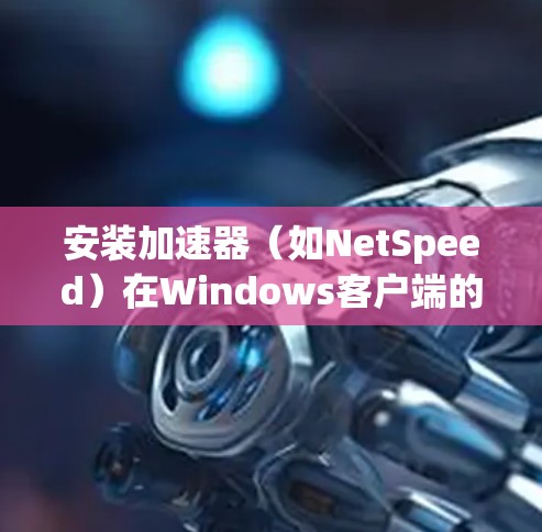 安装加速器（如NetSpeed）在Windows客户端的步骤如下