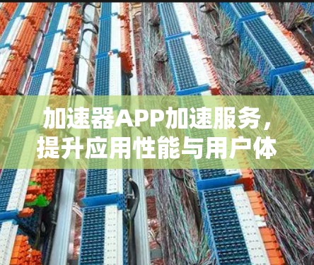 加速器APP加速服务,提升应用性能与用户体验 加速器APP加速服务,提升应用性能与用户体验