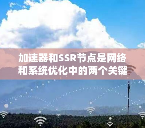 加速器和SSR节点是网络和系统优化中的两个关键概念,它们在数据处理、请求管理和性能提升方面发挥着重要作用。以下是对它们的详细分析和它们结合使用的总结 加速器和SSR节点是网络和系统优化中的两个关键概念,它们在数据处理、请求管理和性能提升方面发挥着重要作用。以下是对它们的详细分析和它们结合使用的总结